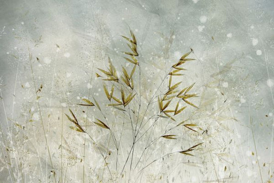PHOTOWALL / Wintertime (e327085)