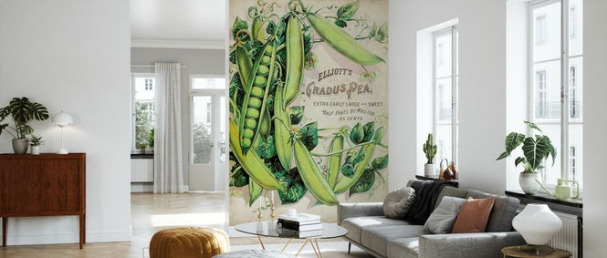 PHOTOWALL / Antique Seed Packets V (e327213)