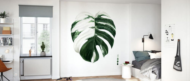 PHOTOWALL / Variegated Monstera II (e327235)