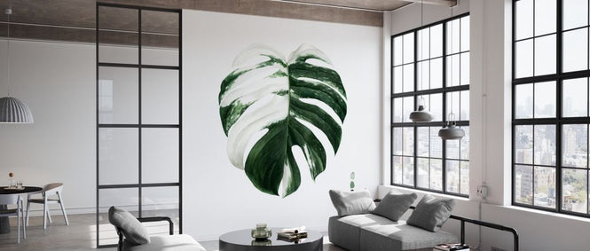 PHOTOWALL / Variegated Monstera II (e327235)
