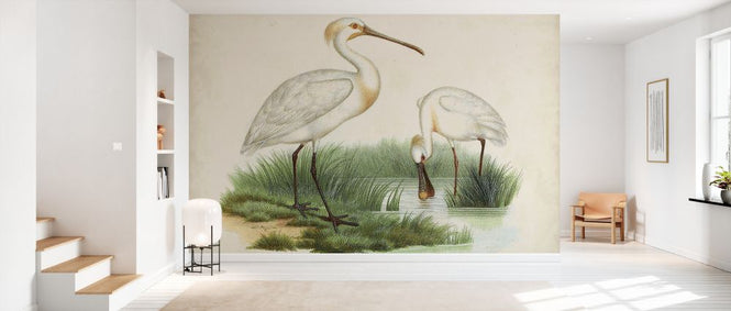 PHOTOWALL / Antique Waterbirds III (e327299)