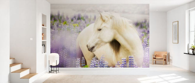 PHOTOWALL / Horse in Lupin Field III (e327329)