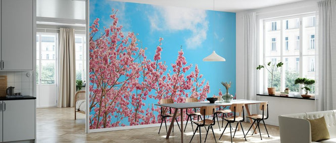 PHOTOWALL / Japan Rising Sun - Cherry Blossoms (e328555)