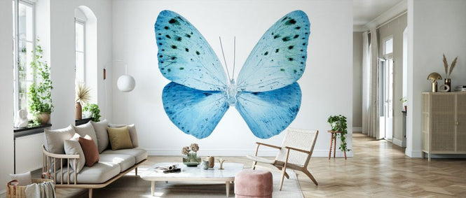 PHOTOWALL / Miss Butterfly X-Ray - Euploea (e328561)