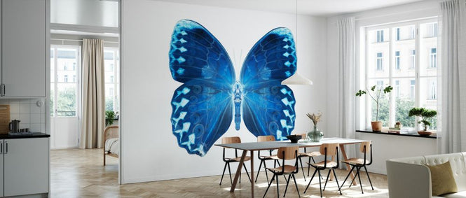 PHOTOWALL / Miss Butterfly X-Ray - Formosana (e328562)