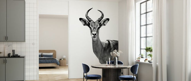 PHOTOWALL / Safari Profile - Antelope (e328579)