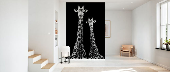 PHOTOWALL / Safari Profile - Two Giraffes (e328585)