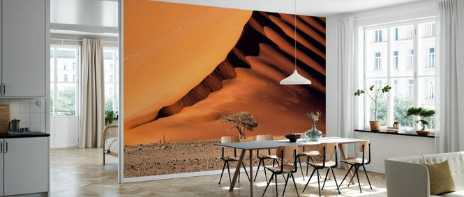 PHOTOWALL / Dune and the Tree (e328189)