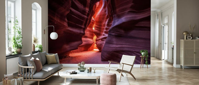 PHOTOWALL / Antelope (e328192)