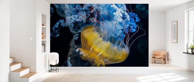 PHOTOWALL / Underwater Dancer (e328519)