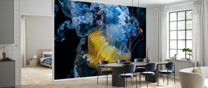 PHOTOWALL / Underwater Dancer (e328519)