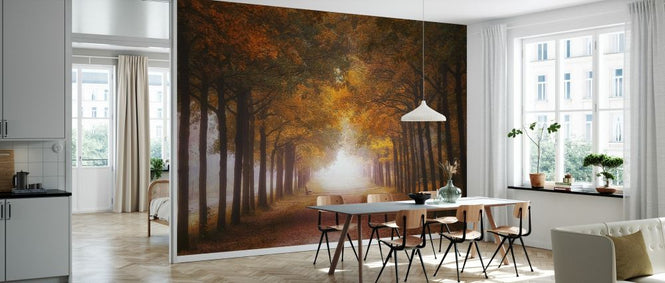 PHOTOWALL / Foggy Autumn Dream (e328527)