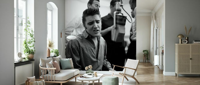 PHOTOWALL / Elvis Presley (e328287)