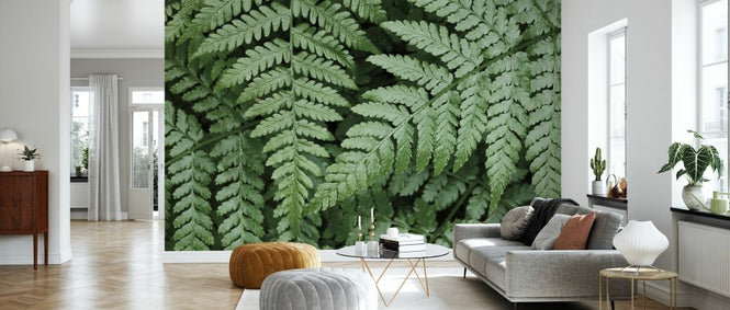PHOTOWALL / Lady Ferns (e327940)