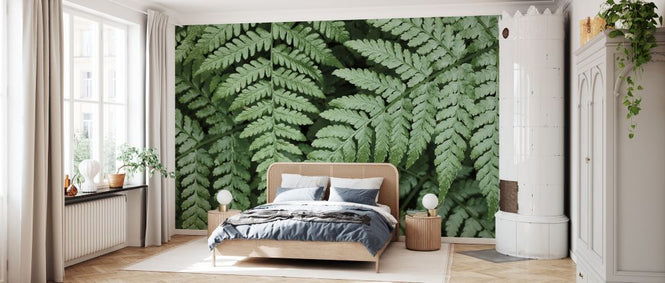 PHOTOWALL / Lady Ferns (e327940)