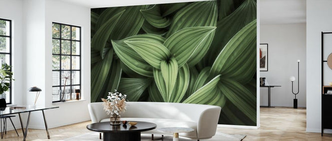 PHOTOWALL / Corn Lily (e327941)