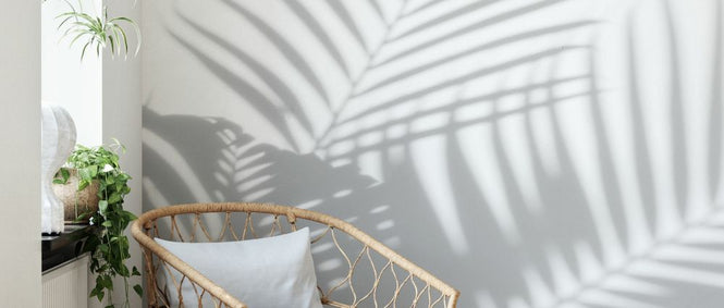 PHOTOWALL / Palm Leaves Shadow (e327861)