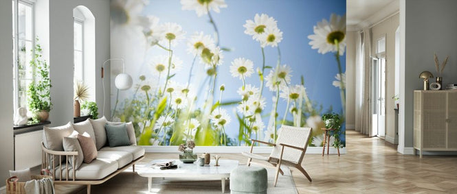 PHOTOWALL / Daisy Flowers (e327867)