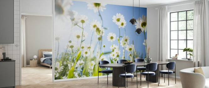 PHOTOWALL / Daisy Flowers (e327867)