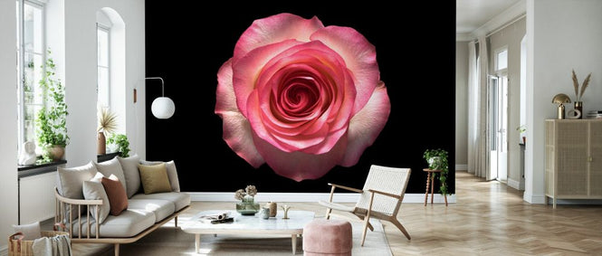 PHOTOWALL / Rose on Black (e327872)