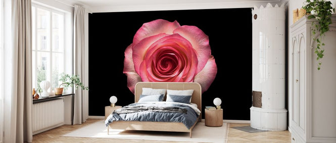 PHOTOWALL / Rose on Black (e327872)