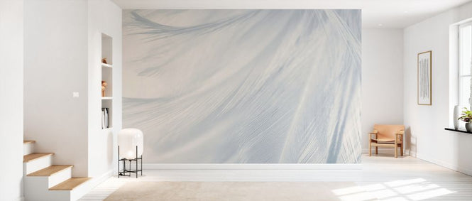 PHOTOWALL / White Gray Feather (e327885)