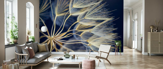 PHOTOWALL / Dandelion (e327898)