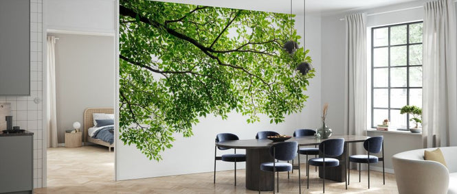 PHOTOWALL / Branch and Leaf (e327903)