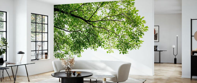PHOTOWALL / Branch and Leaf (e327903)