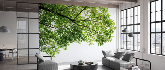 PHOTOWALL / Branch and Leaf (e327903)
