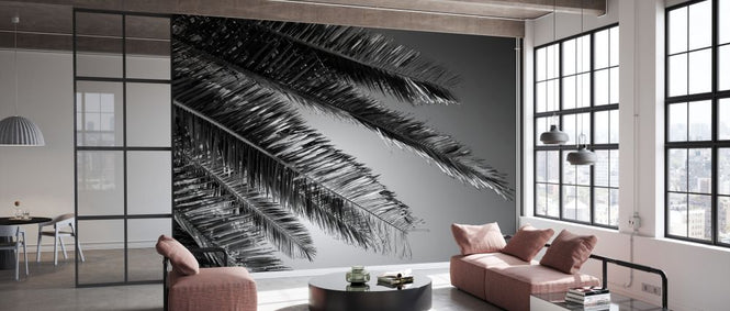 PHOTOWALL / Black California - Palm (e328630)