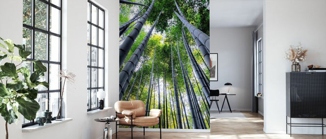 PHOTOWALL / Japan Rising Sun - Bamboo Forest Kyoto II (e328659)