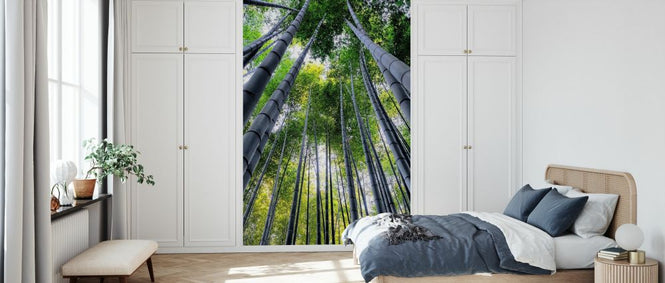 PHOTOWALL / Japan Rising Sun - Bamboo Forest Kyoto II (e328659)