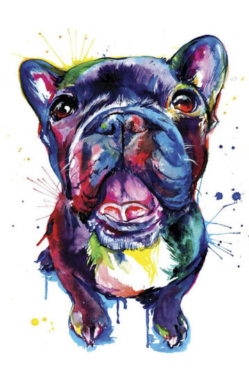 PHOTOWALL / Black Frenchie (e329038)