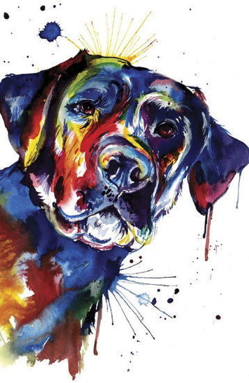 PHOTOWALL / Black Lab (e329039)