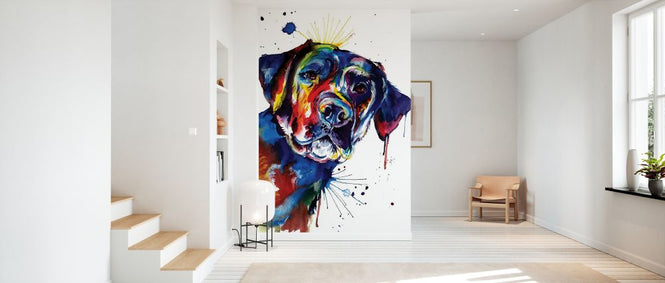 PHOTOWALL / Black Lab (e329039)