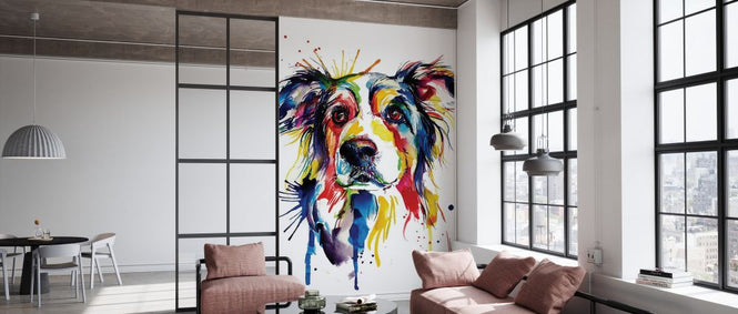 PHOTOWALL / Border Collie (e329040)