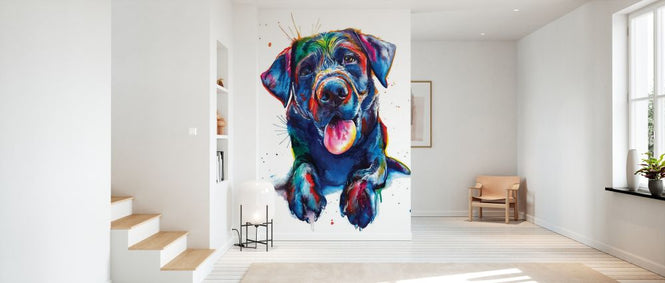 PHOTOWALL / Black Lab (e329063)