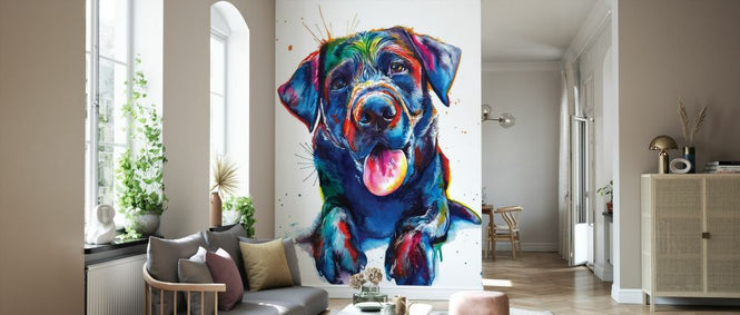 PHOTOWALL / Black Lab (e329063)