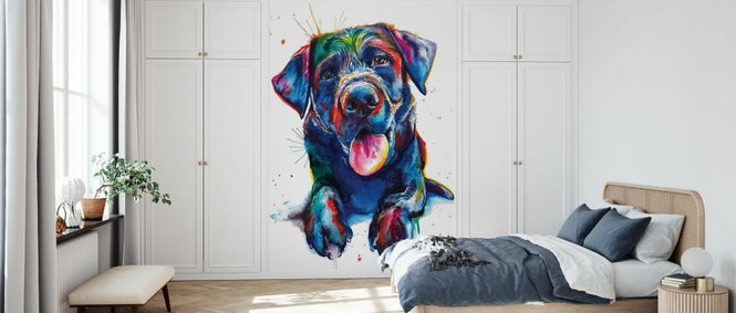 PHOTOWALL / Black Lab (e329063)