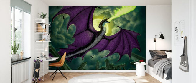 PHOTOWALL / Black Dragon Flying at Night (e330145)