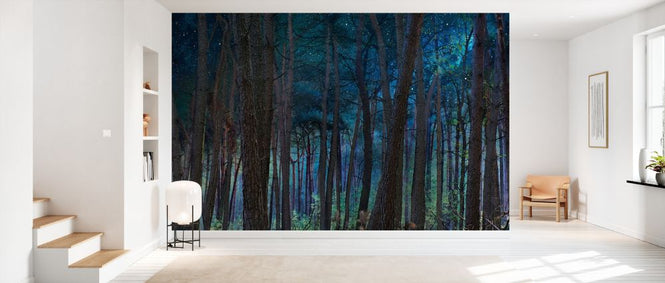 PHOTOWALL / Mystical Night Forrest (e330206)