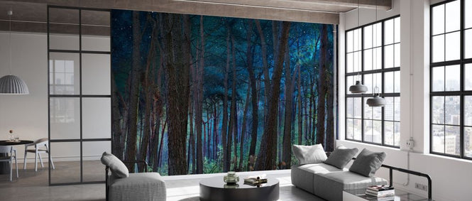 PHOTOWALL / Mystical Night Forrest (e330206)