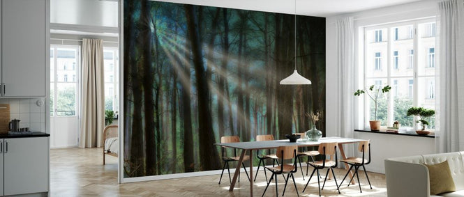 PHOTOWALL / Sunray Forrest (e330218)