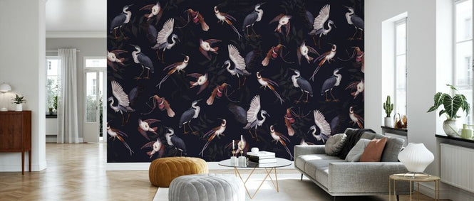 PHOTOWALL / Birds (e330458)
