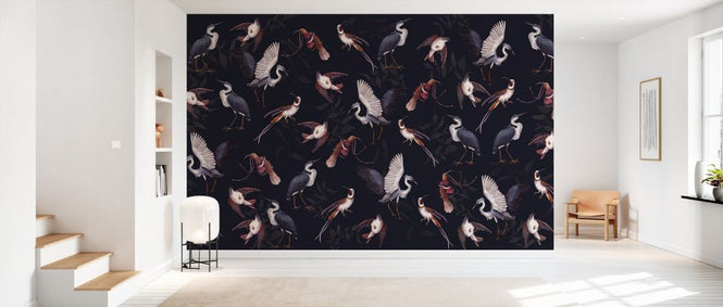 PHOTOWALL / Birds (e330458)