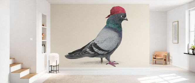 PHOTOWALL / Pirate Pigeon (e330775)