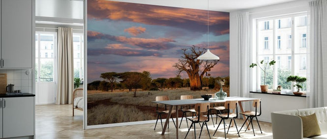PHOTOWALL / Baobab Landscape (e331476)