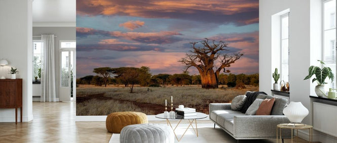 PHOTOWALL / Baobab Landscape (e331476)