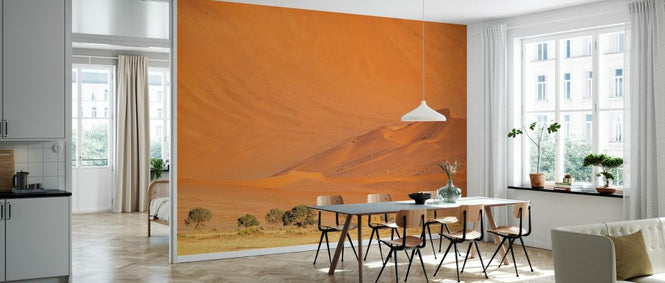 PHOTOWALL / Erg Desert II (e331487)